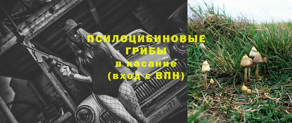 таблы Инсар