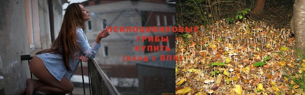 дмт Инта