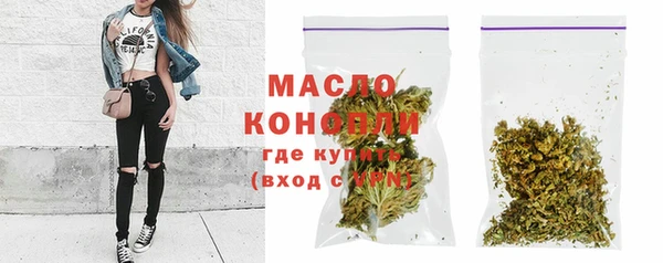дмт Инта